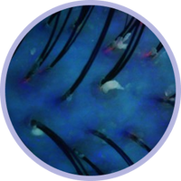 parameter background
