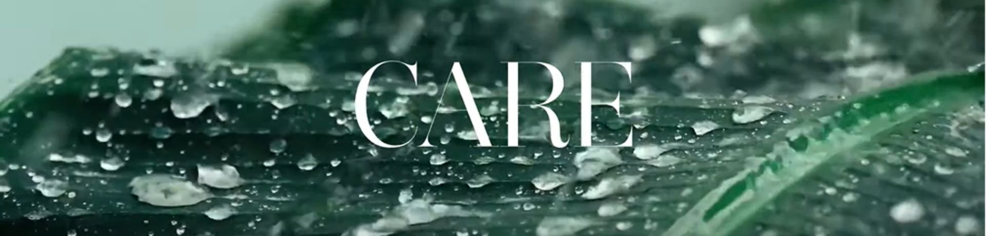 Care banner new